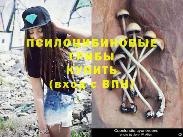 СК Абинск