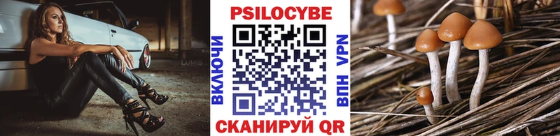 Галлюциногенные грибы Magic Shrooms Подпорожье